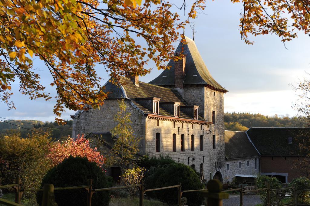 B&B Le Manoir d'Ange Ferrières Extérieur photo